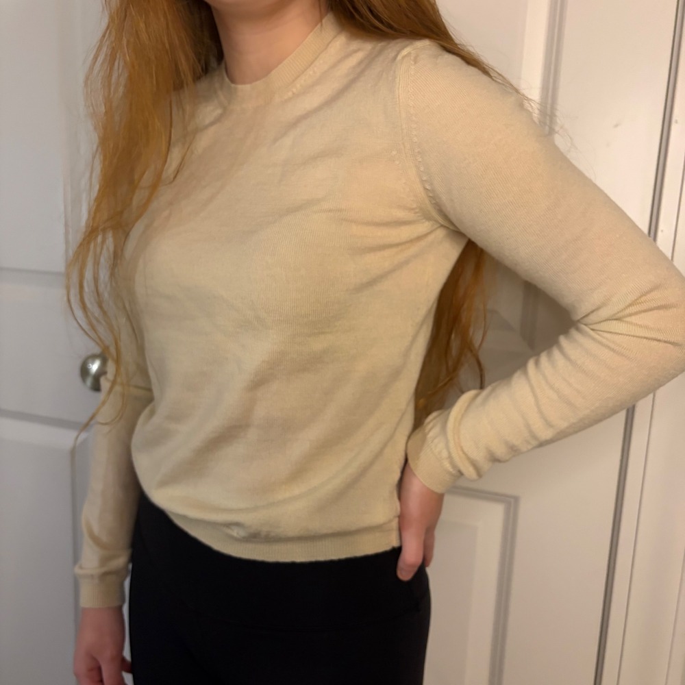 Ann Taylor 100% Merino Wool Crewneck Sweater Long Sleeve Size M
